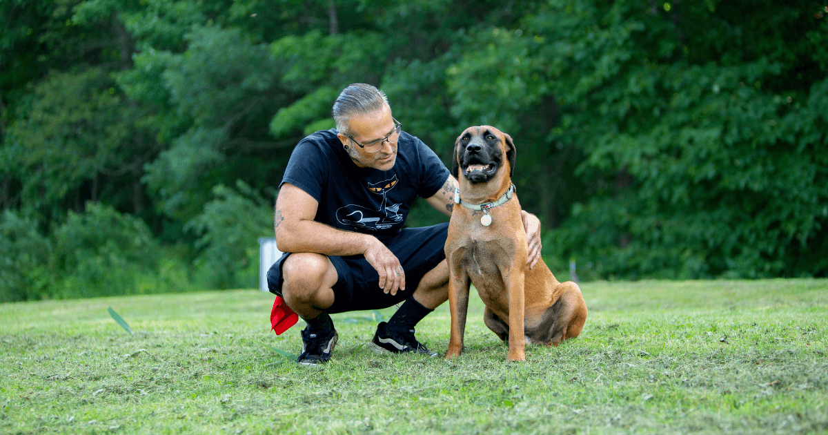 Rescue dog sitting in a field with his new owner