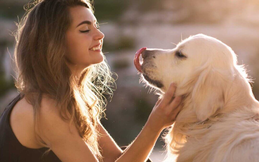A girl and a golden retriever looking at eachother