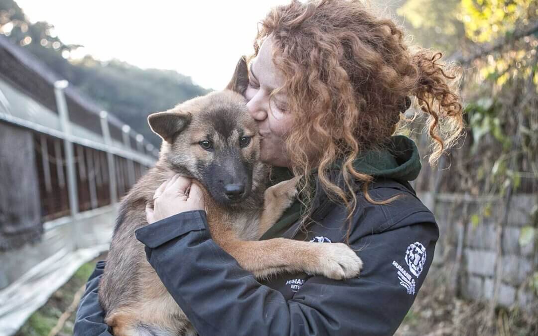 A photo of a HWF Canada employee holding and kissing a rescue dog