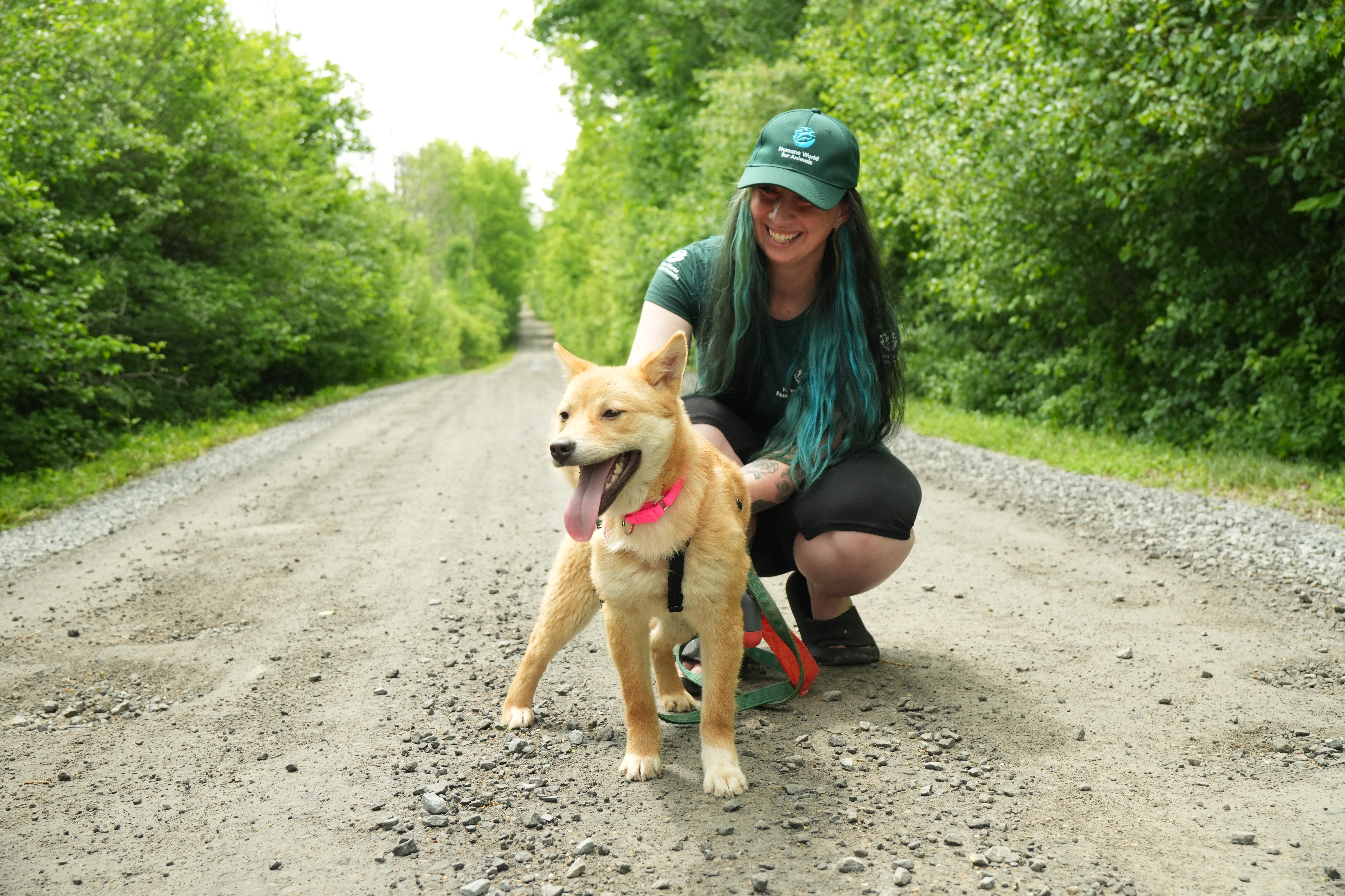 Personnel de la Fondation Humane World avec un chien.