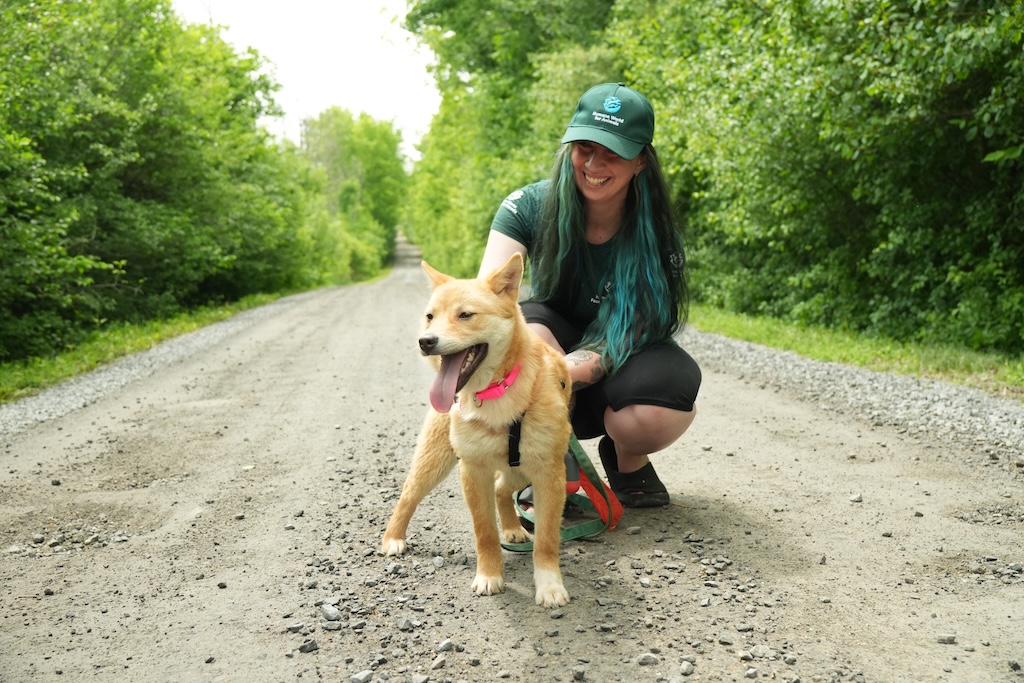 Personnel de la Fondation Humane World avec un chien.
