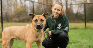 rescue dog standing with care and rehabilitation centre worker