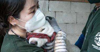 God being held by volunteer after being saves from DMT slaughter