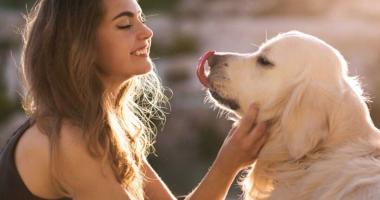 A girl and a golden retriever looking at eachother