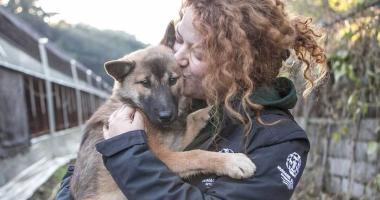 A photo of a HWF Canada employee holding and kissing a rescue dog