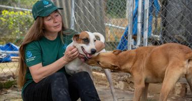 Humane World for Animals (anciennement Humane Society International) a lancé une opération de secours pour les animaux en Jamaïque pour apporter des soins urgents aux animaux touchés par l’ouragan Melissa.